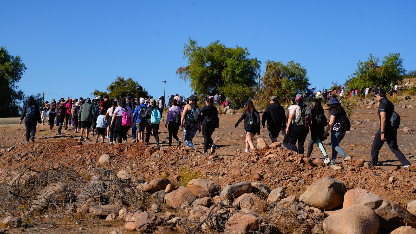 TREKKING (3)